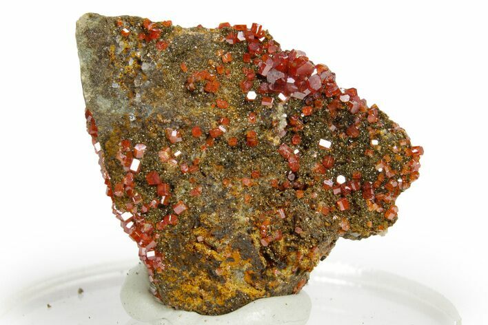 Glittering Ruby Red Vanadinite Crystals - Arizona #361570